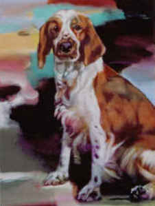 Sascha