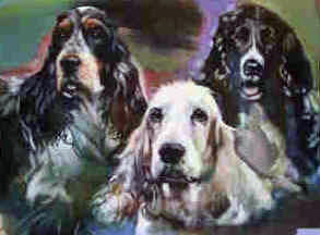 Van links naar rechts Yordi, Freya en Bonny